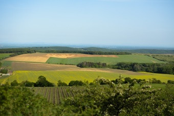 Rimini Zona Sant'aquilina, Terreno Agricolo Di Mq.20.000
