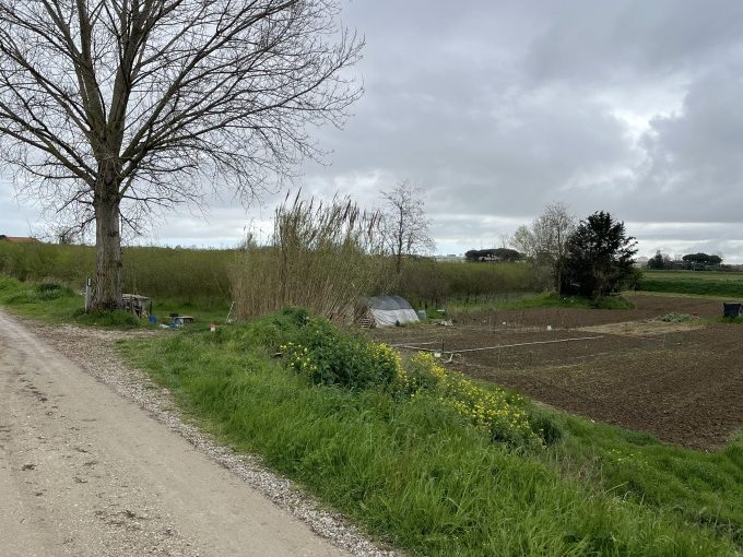 Terreno Agricolo In Vendita A Valverde Di Cesenatico9